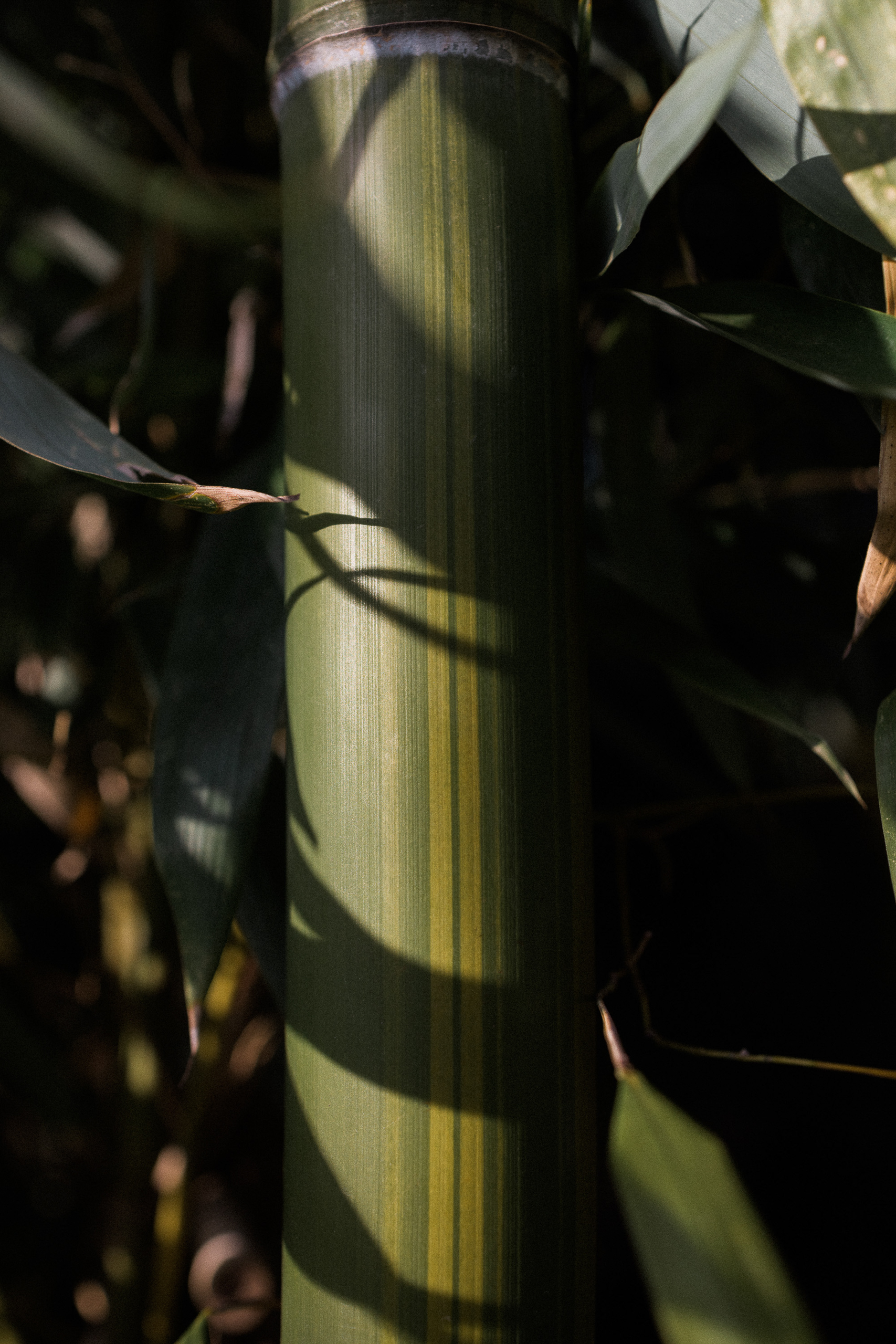 Jonathan Imhof_01-Small