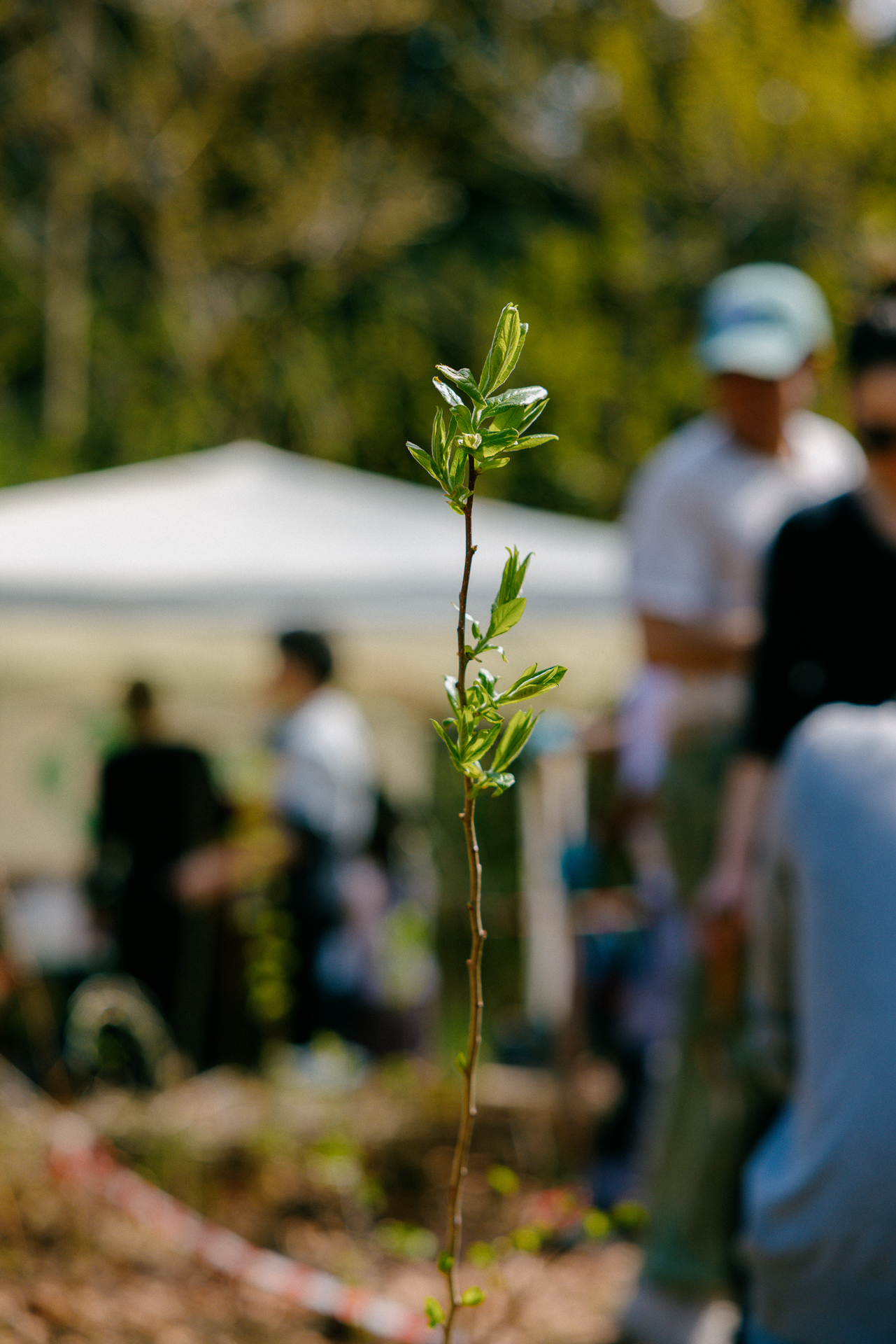 2504_SUGi_005 2504_SUGi_005