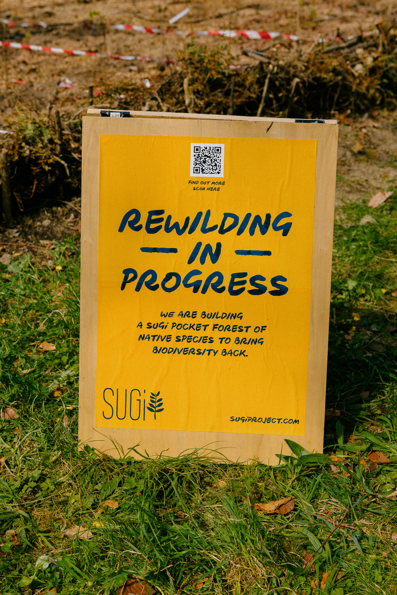 2504_SUGi_009 2504_SUGi_009