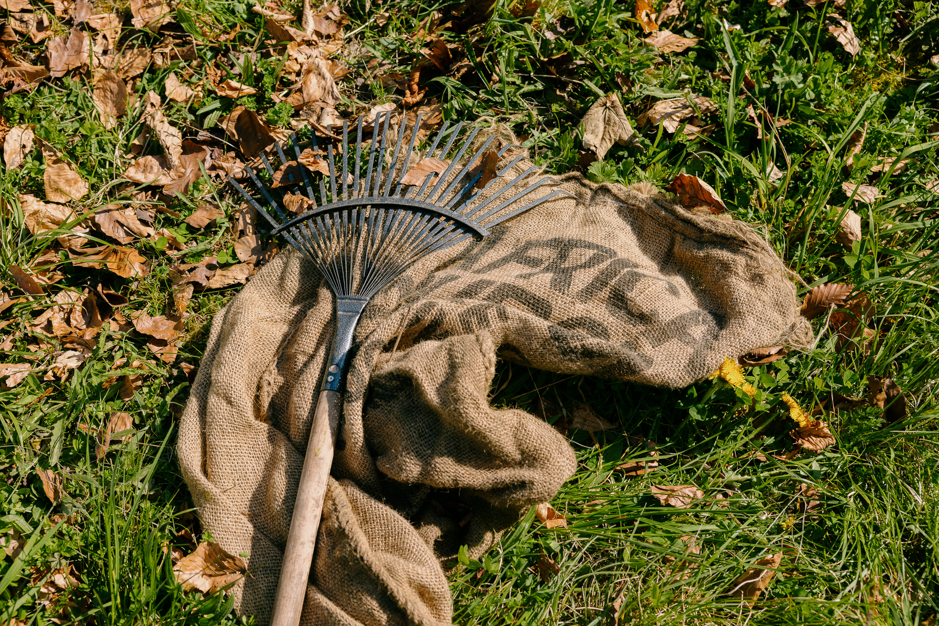 2504_SUGi_012 2504_SUGi_012