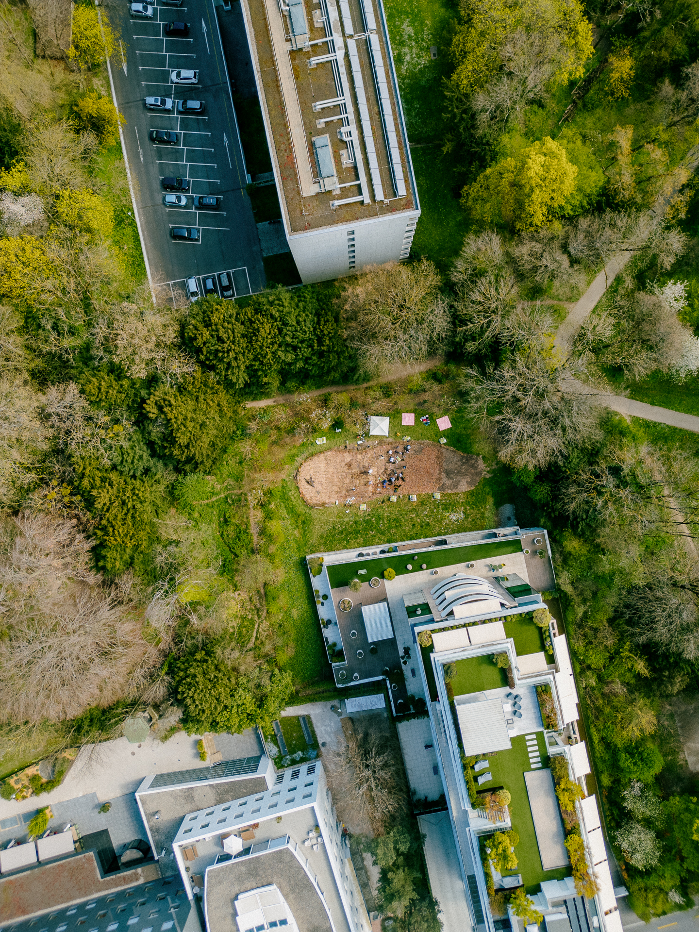 2504_SUGi_013 2504_SUGi_013